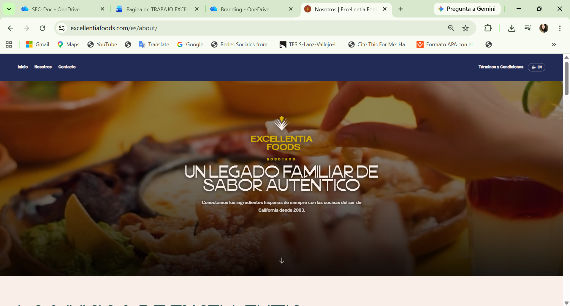 Excellentia's new about page with illustrative videos and company history, built by Ecommetrica