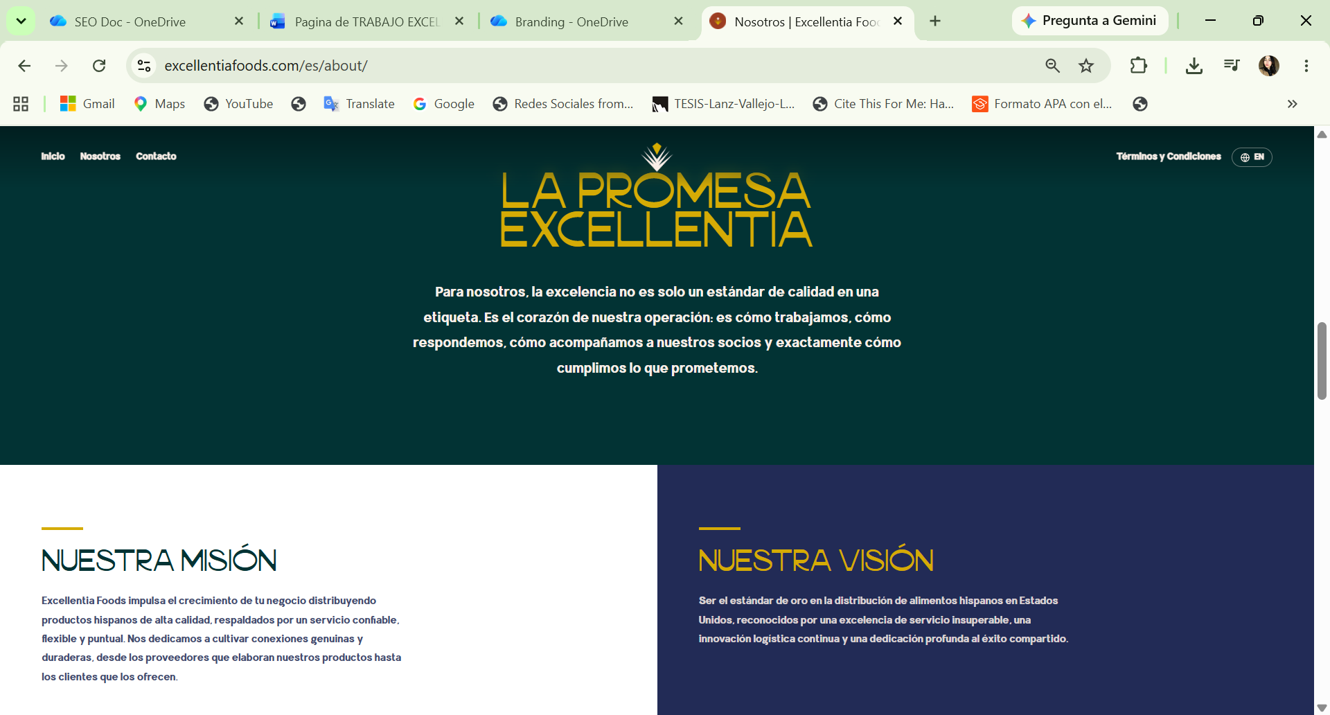 Mission and vision section on the About page for Excellentia Foods, designed by Ecommetrica
