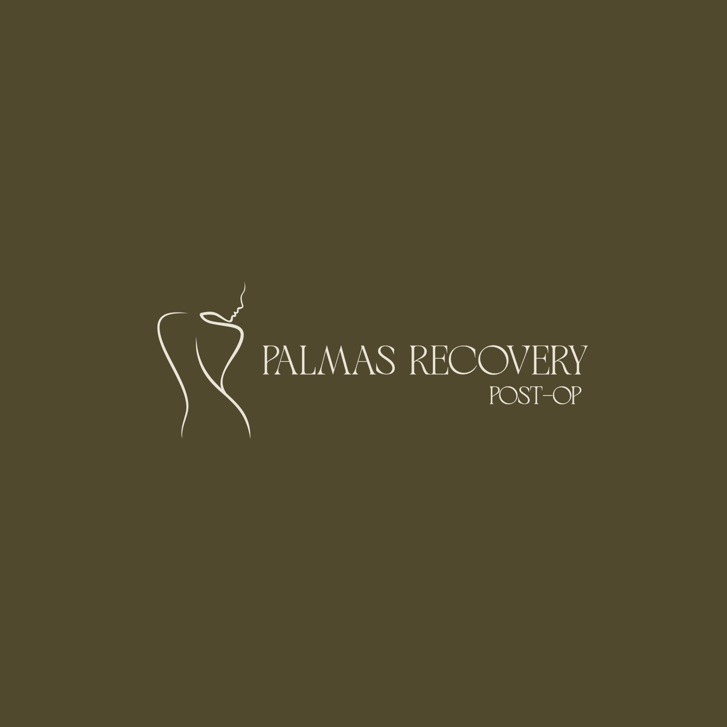 Logotipo principal de Palmas Recovery
