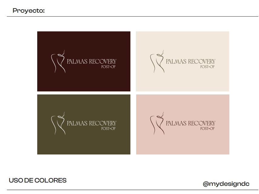 Uso de colores del logotipo de Palmas Recovery