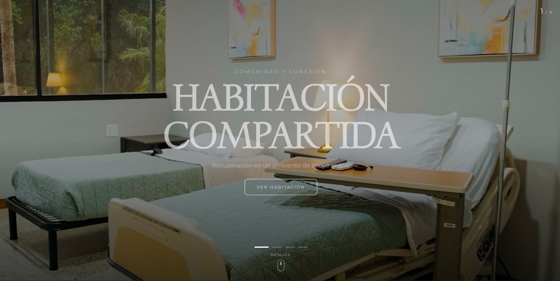 Después: nuevo sitio web de Palmas Recovery