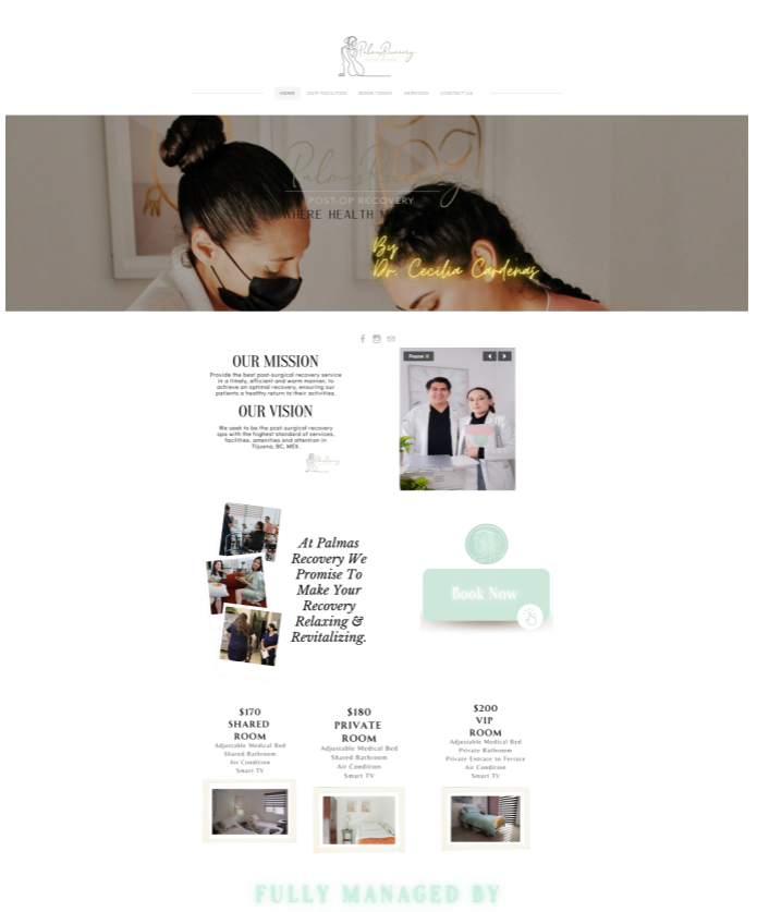 Antes: sitio web anterior de Palmas Recovery